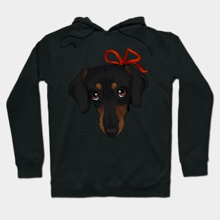 Puppy eyes daschund Hoodie